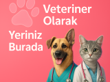 Veteriner Olarak Yeriniz Burada