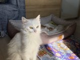 Dünyalar güzeli CASPER