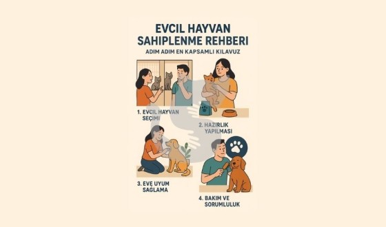 Evcil Hayvan Sahiplenme Rehberi: Adım Adım Kapsamlı Kılavuz