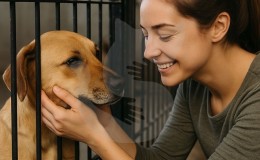 Sahiplenme Ücretli mi? Barınaktan Kedi veya Köpek Sahiplenirken En Çok Sorulan 5 Soru