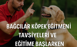 Bağcılar Köpek Eğitmeni Tavsiyeleri | Eğitime Başlarken Bilinmesi Gerekenler