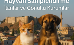Gaziantep Hayvan Sahiplendirme | İlanlar ve Gönüllü Kurumlar